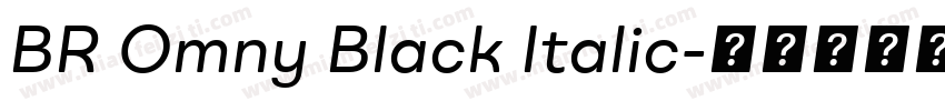 BR Omny Black Italic字体转换